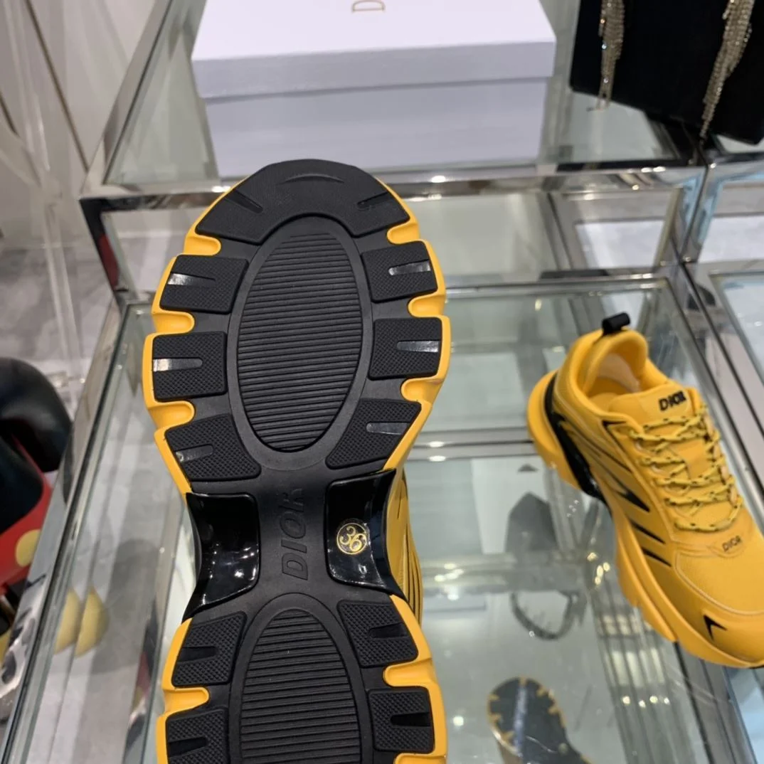 GoAnywhere Christian Dior Sneaker 21094