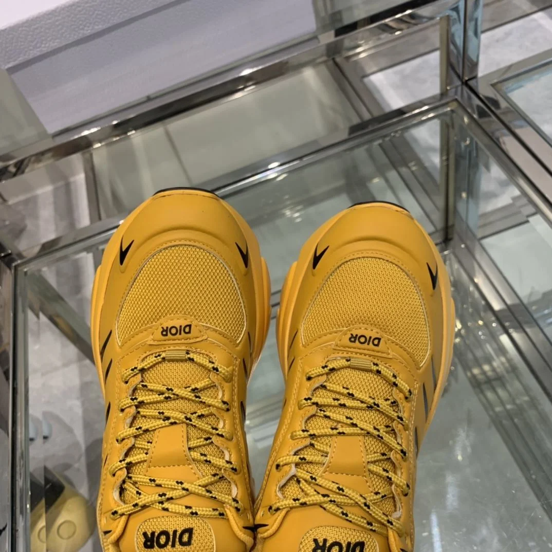GoAnywhere Christian Dior Sneaker 21094