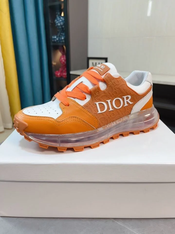 Efficient Christian Dior Sneaker 22174