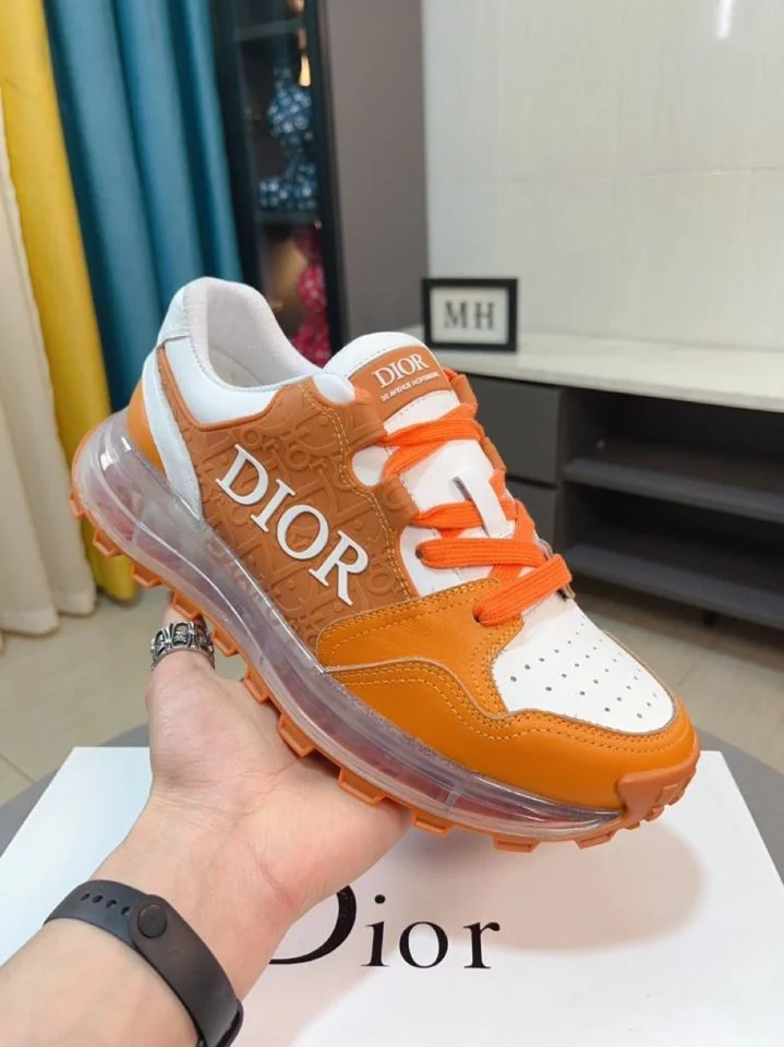 Efficient Christian Dior Sneaker 22174