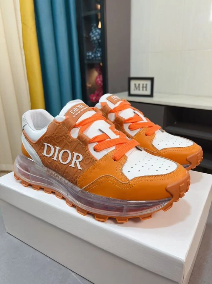 Efficient Christian Dior Sneaker 22174