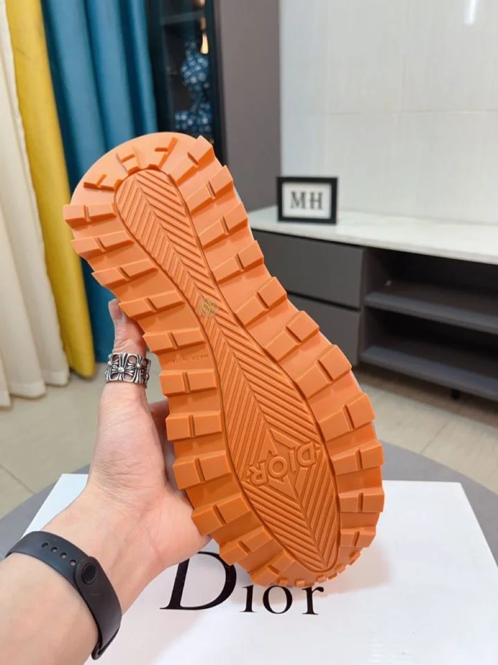 Efficient Christian Dior Sneaker 22174
