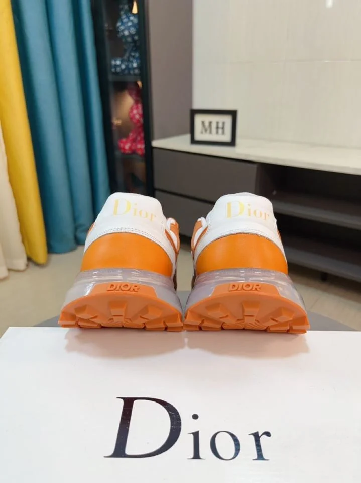 Efficient Christian Dior Sneaker 22174