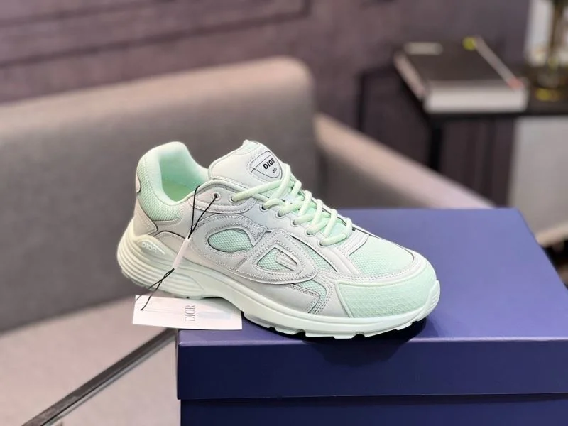 Resilient Christian Dior Sneaker 22182