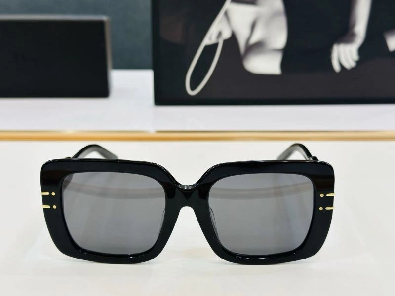 Christian Dior Sunglasses WrinkleFree 278724
