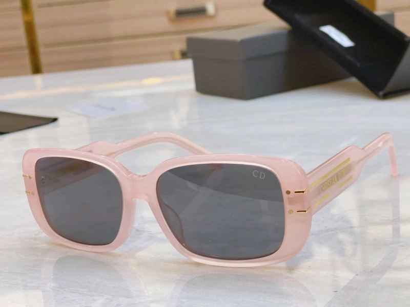 Christian Dior Sunglasses Snug 278682