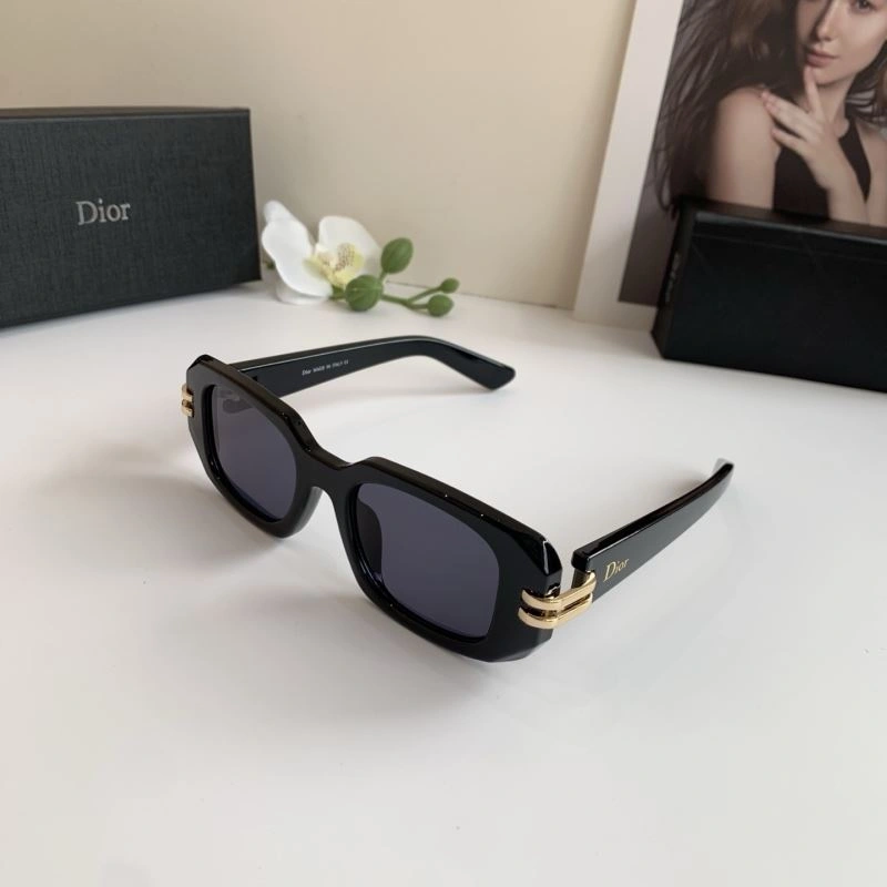 Seasonal Christian Dior Sunglasses 278619