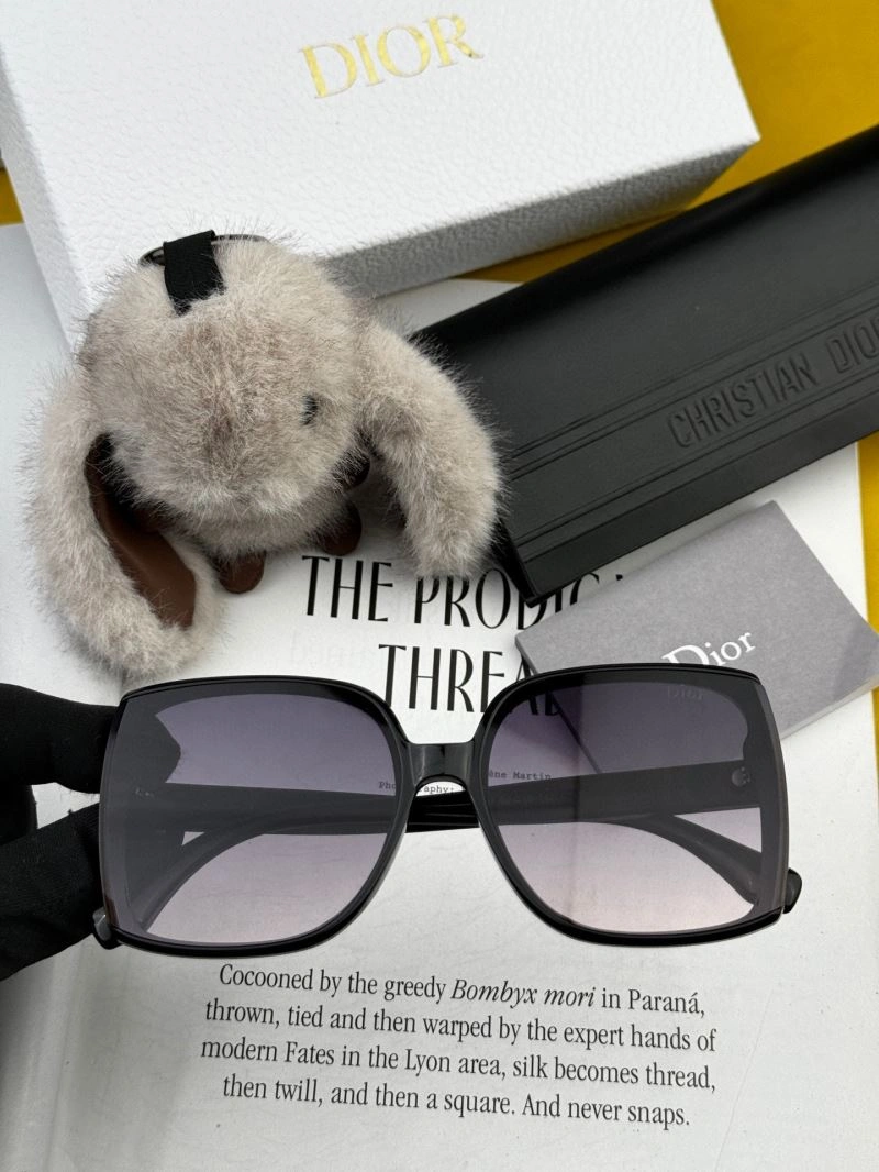 Packable Christian Dior Sunglasses 278863