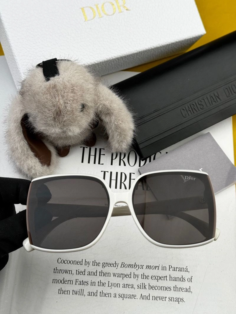Packable Christian Dior Sunglasses 278863