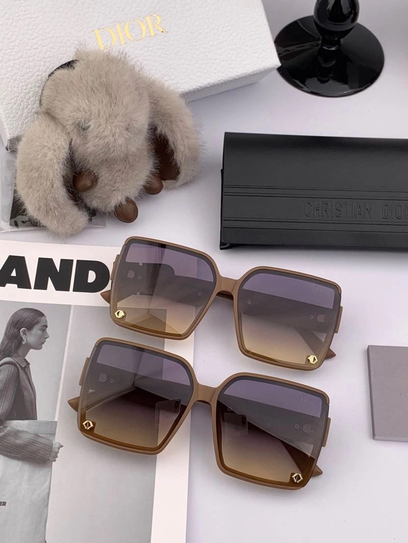 RelaxedFit Christian Dior Sunglasses 278881