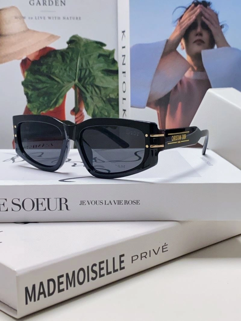 Functional Christian Dior Sunglasses 278886