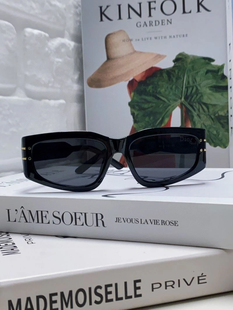 Functional Christian Dior Sunglasses 278886