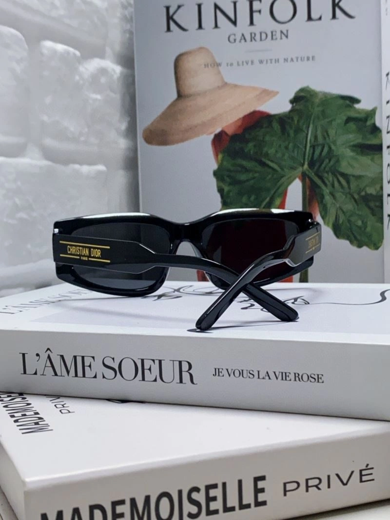 Functional Christian Dior Sunglasses 278886
