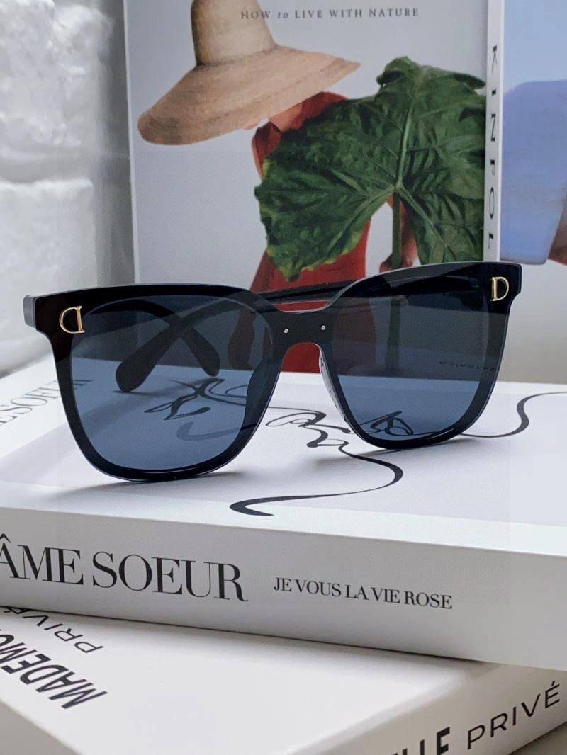 RelaxedFit Christian Dior Sunglasses 278869