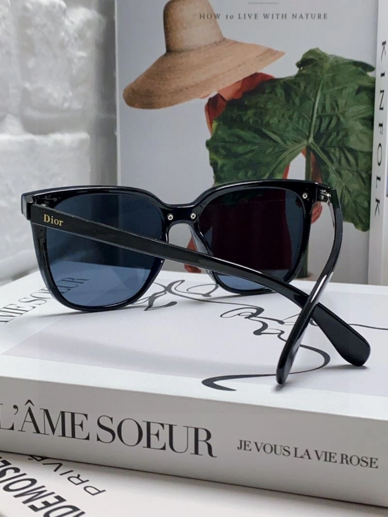 RelaxedFit Christian Dior Sunglasses 278869