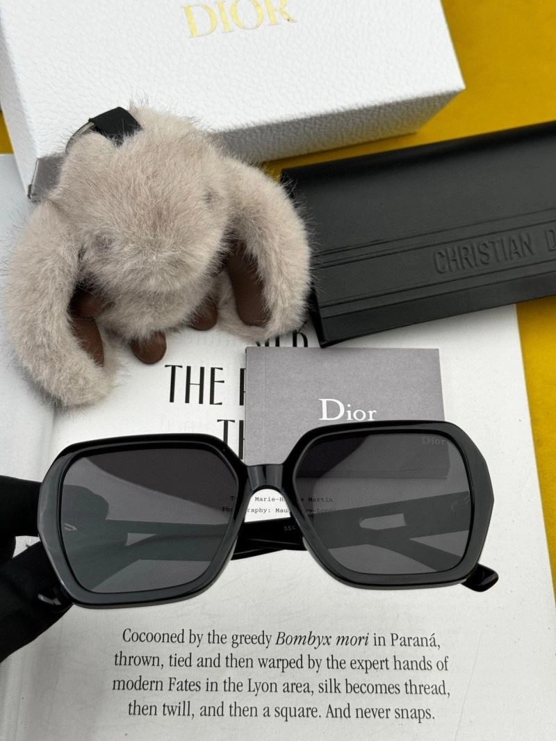 Packable Christian Dior Sunglasses 278826