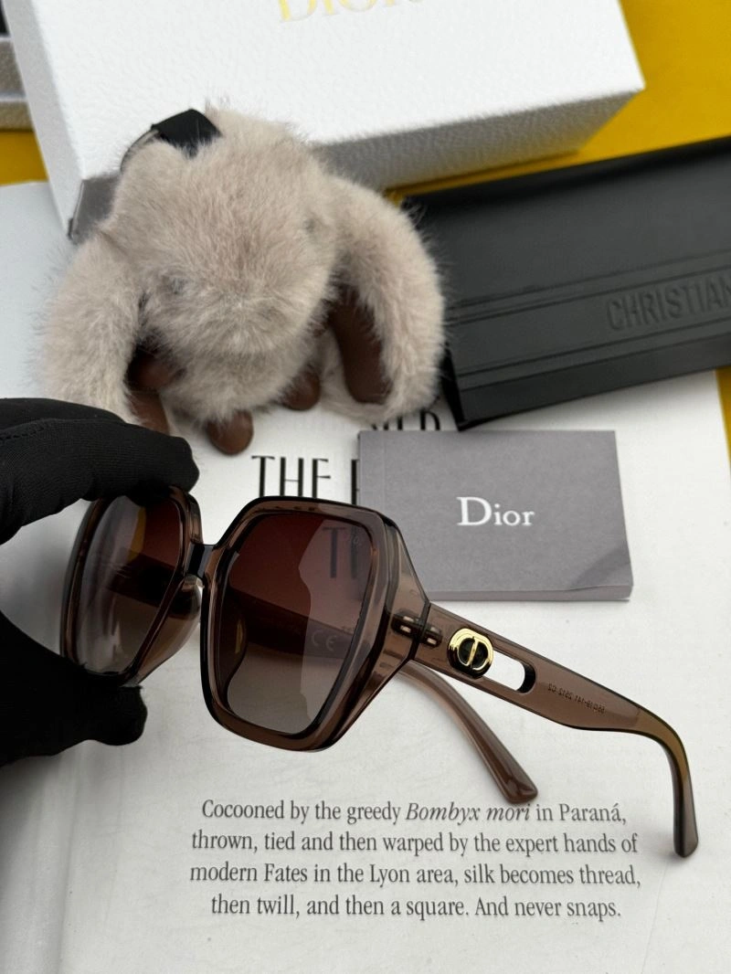 Packable Christian Dior Sunglasses 278826