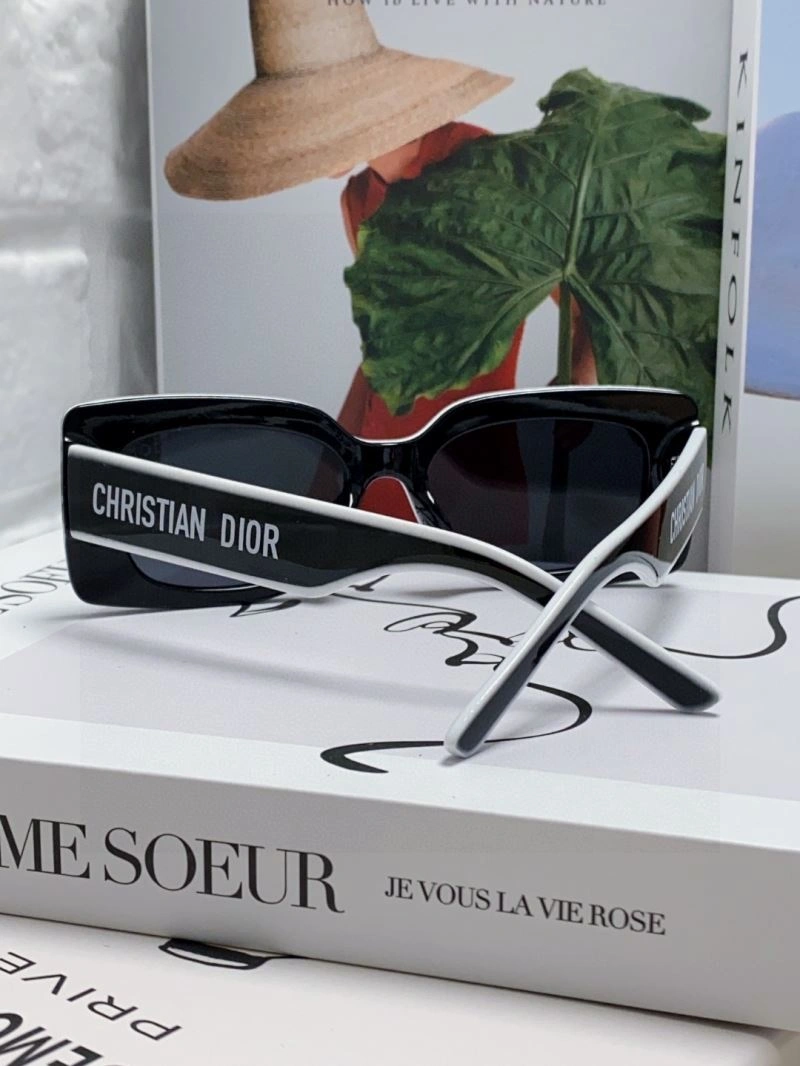 Functional Christian Dior Sunglasses 278748