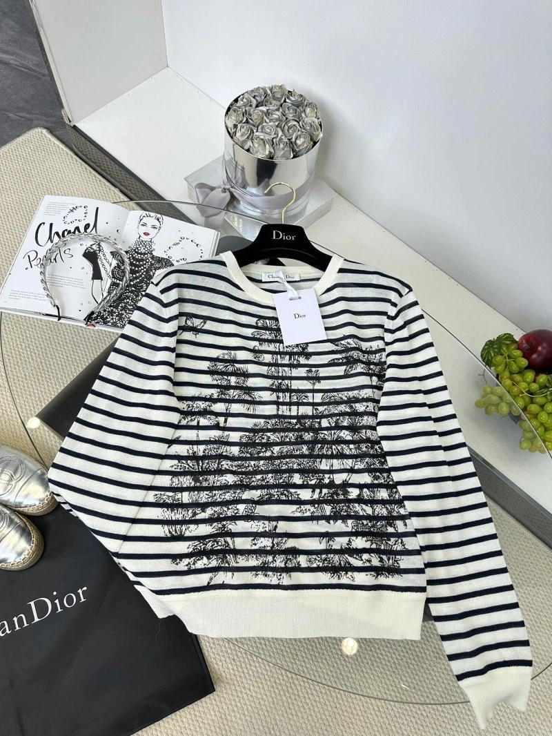 DailyWear Christian Dior Sweaters 112810