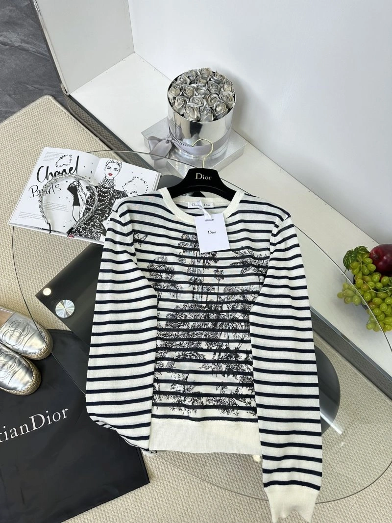 DailyWear Christian Dior Sweaters 112810