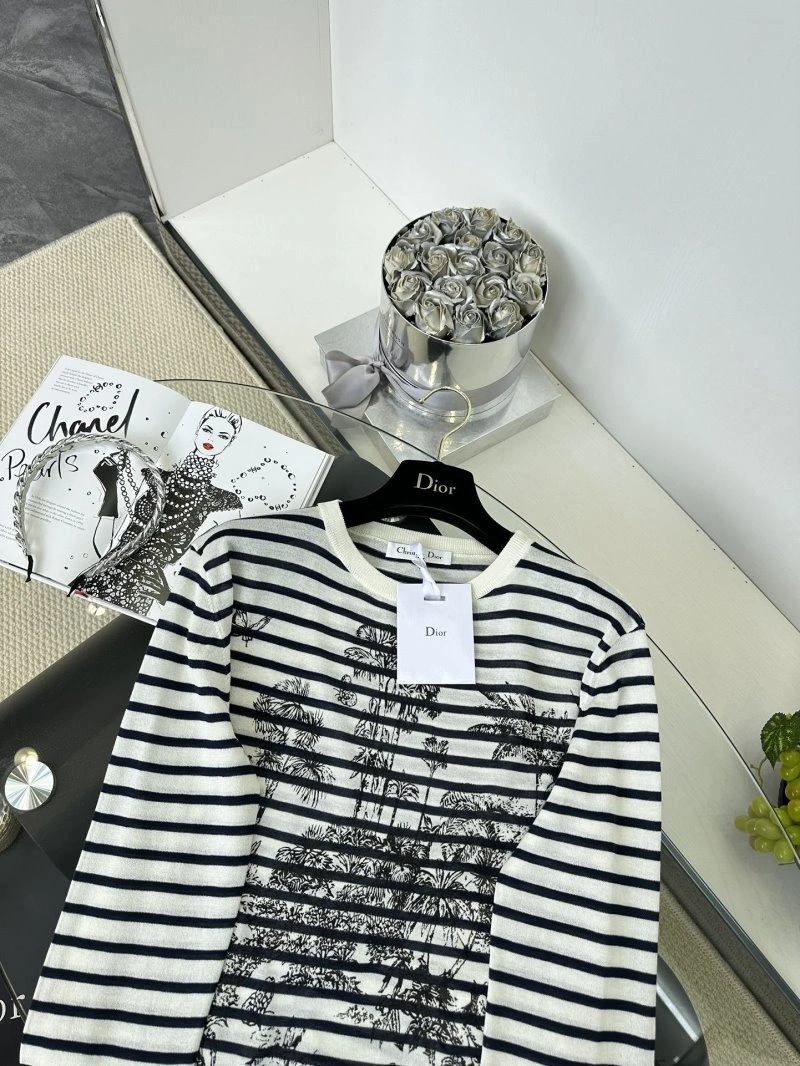 DailyWear Christian Dior Sweaters 112810