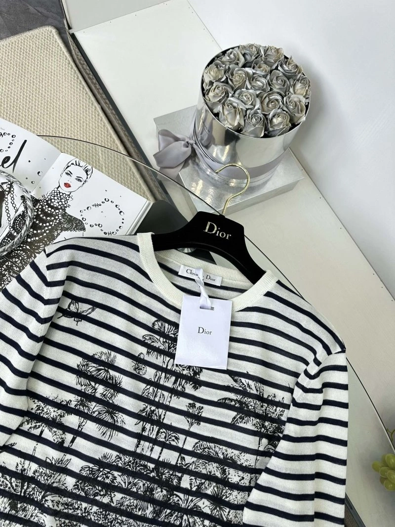 DailyWear Christian Dior Sweaters 112810