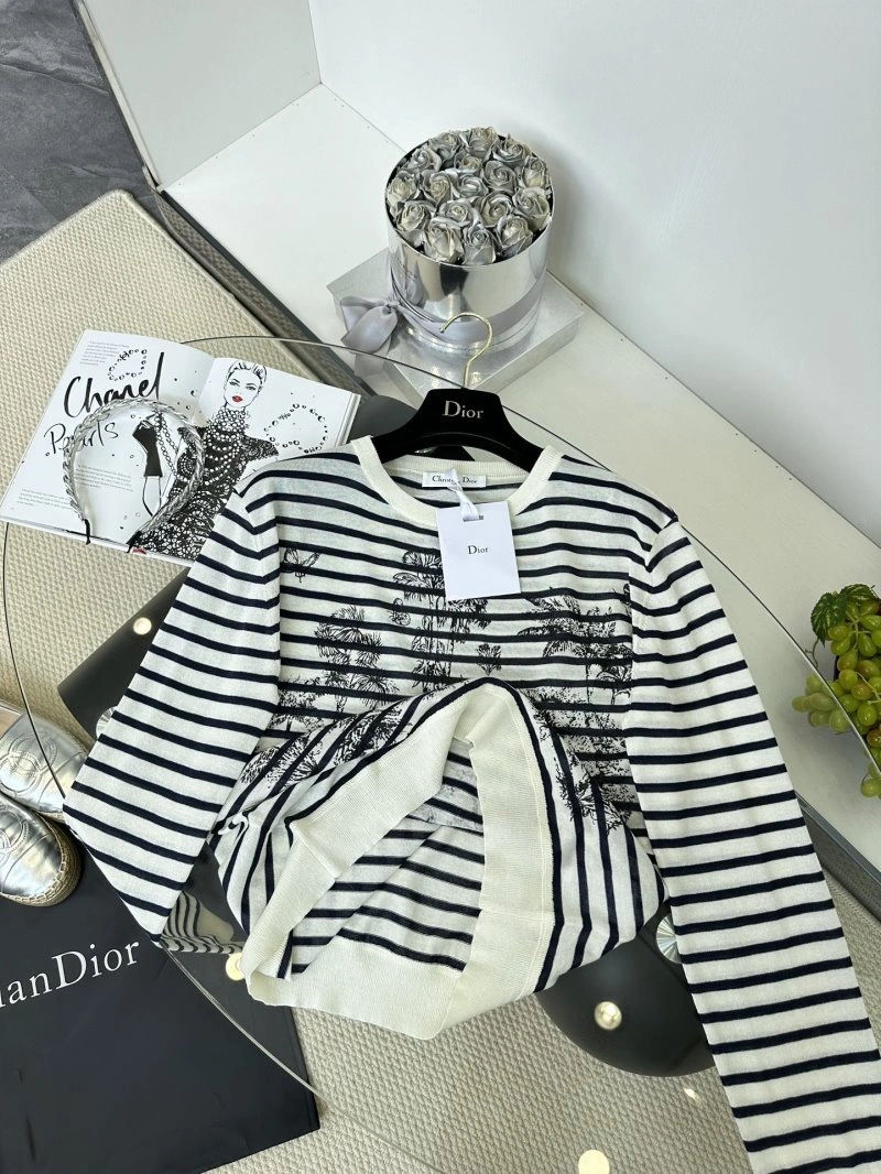 DailyWear Christian Dior Sweaters 112810