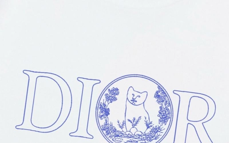 Trendy Christian Dior T-Shirts 114779