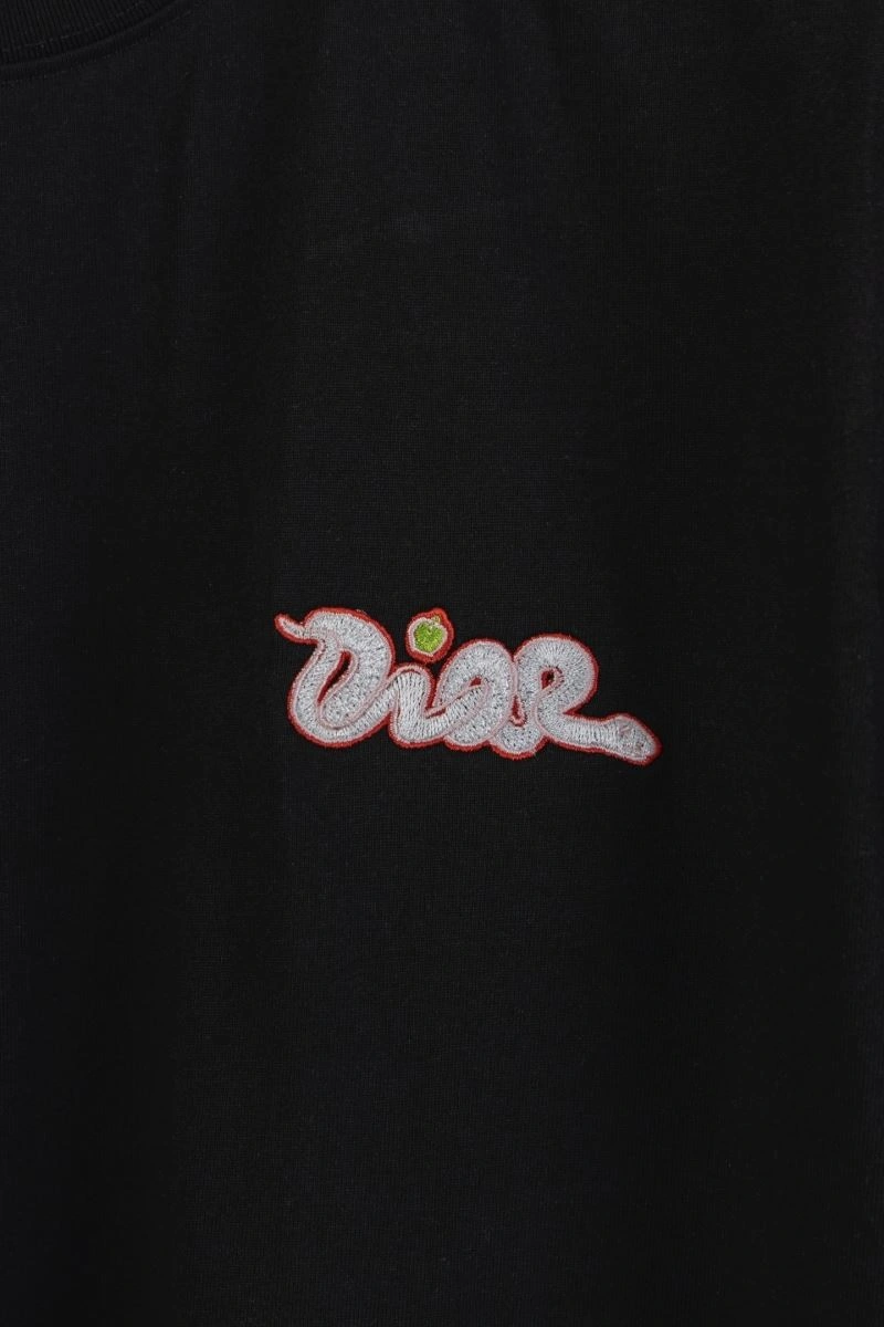 Versatile Christian Dior T-Shirts 117414