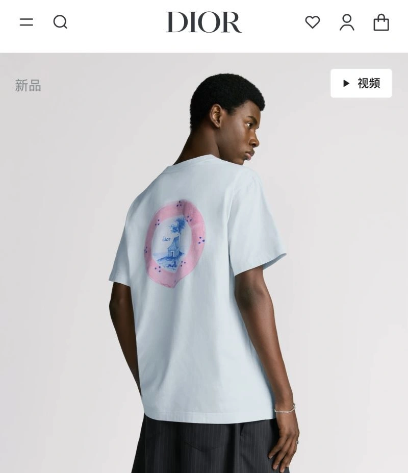 DailyWear Christian Dior T-Shirts 117382