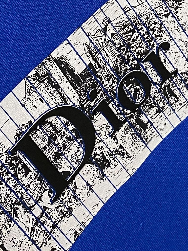 Fashionable Christian Dior T-Shirts 116118