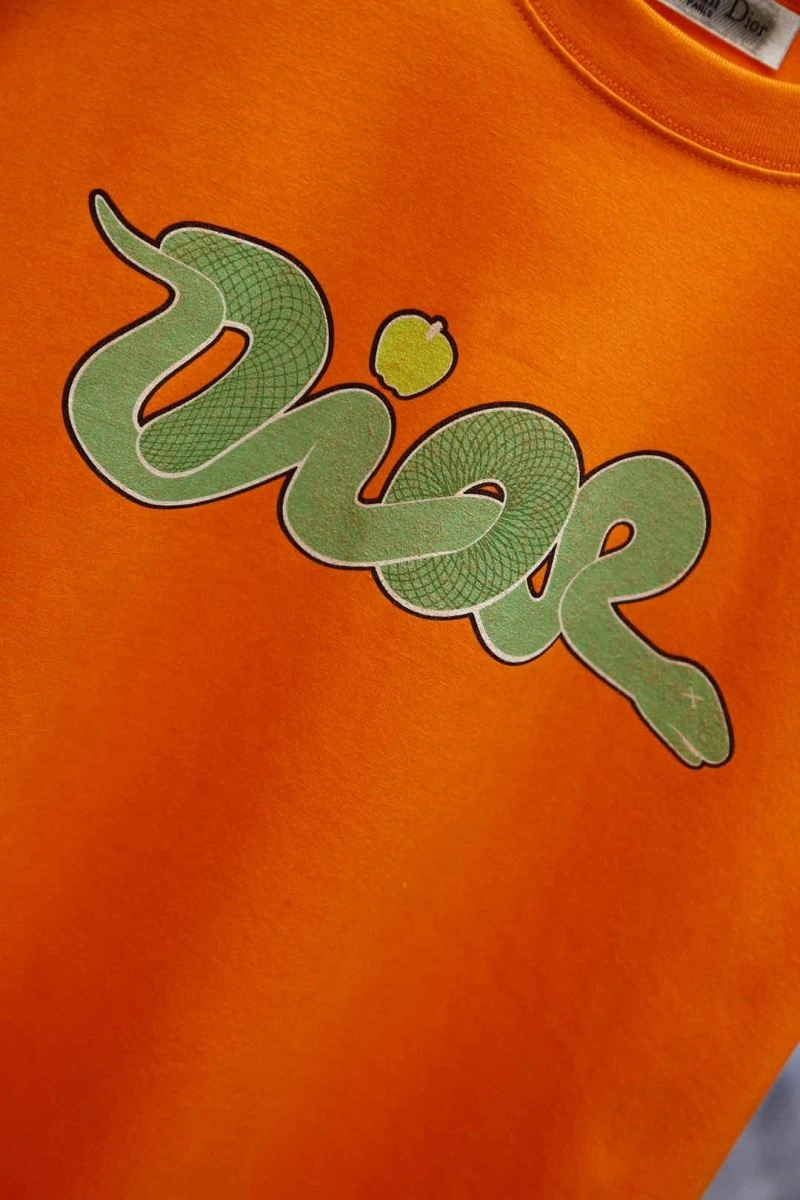Seasonal Christian Dior T-Shirts 115543