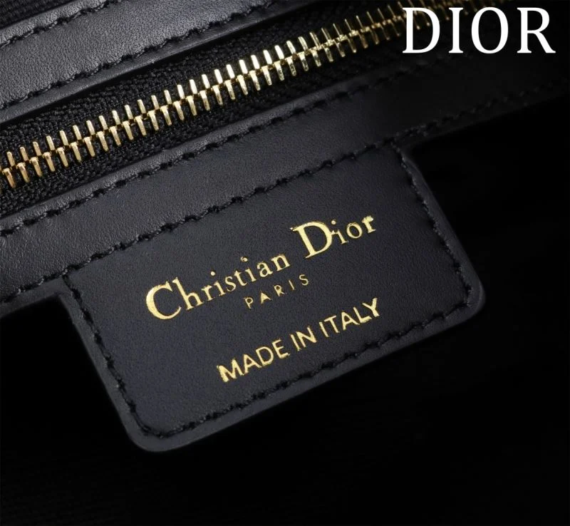 Bold Christian Dior Top Handle Bags 46784