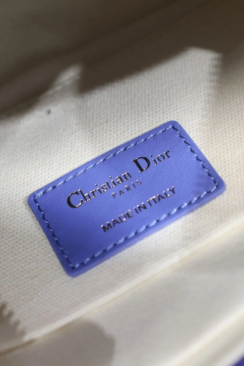 Resilient Christian Dior Top Handle Bags 46772