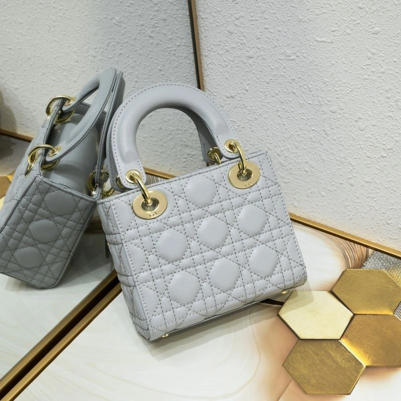 SmoothTexture Christian Dior Top Handle Bags 85448