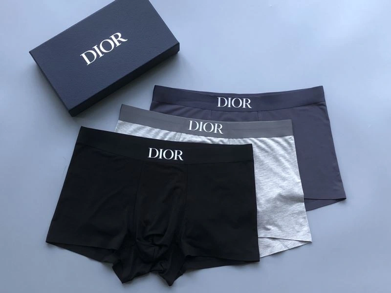 Unique Christian Dior Underwear 276831