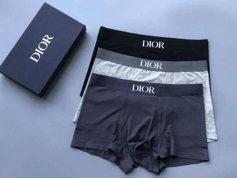 Unique Christian Dior Underwear 276831