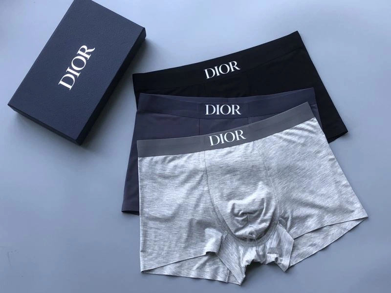 Unique Christian Dior Underwear 276831