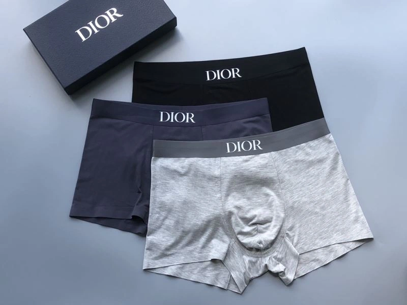 Unique Christian Dior Underwear 276831