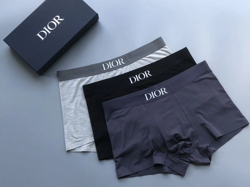 Unique Christian Dior Underwear 276831