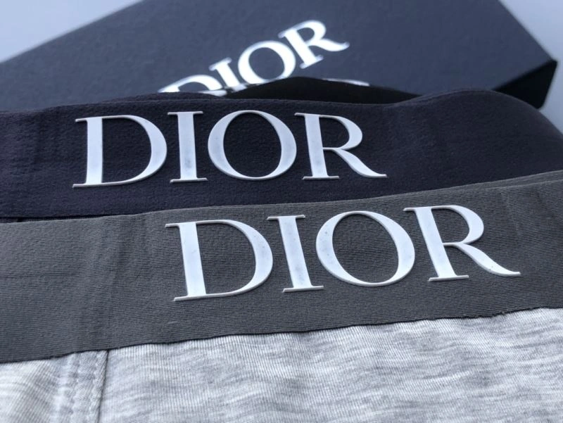 Unique Christian Dior Underwear 276831