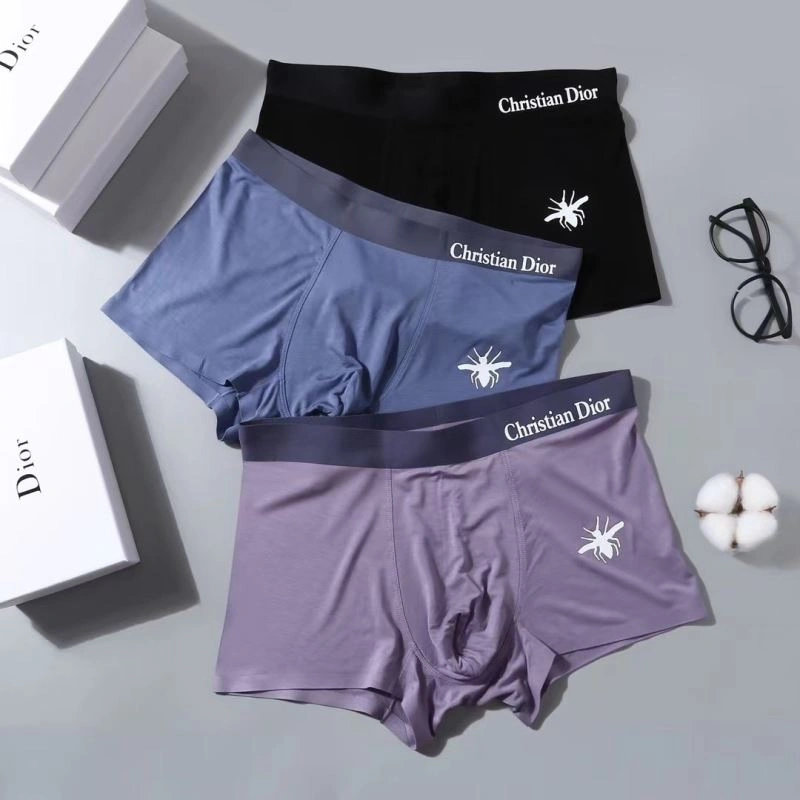 Snug Christian Dior Underwear 276830