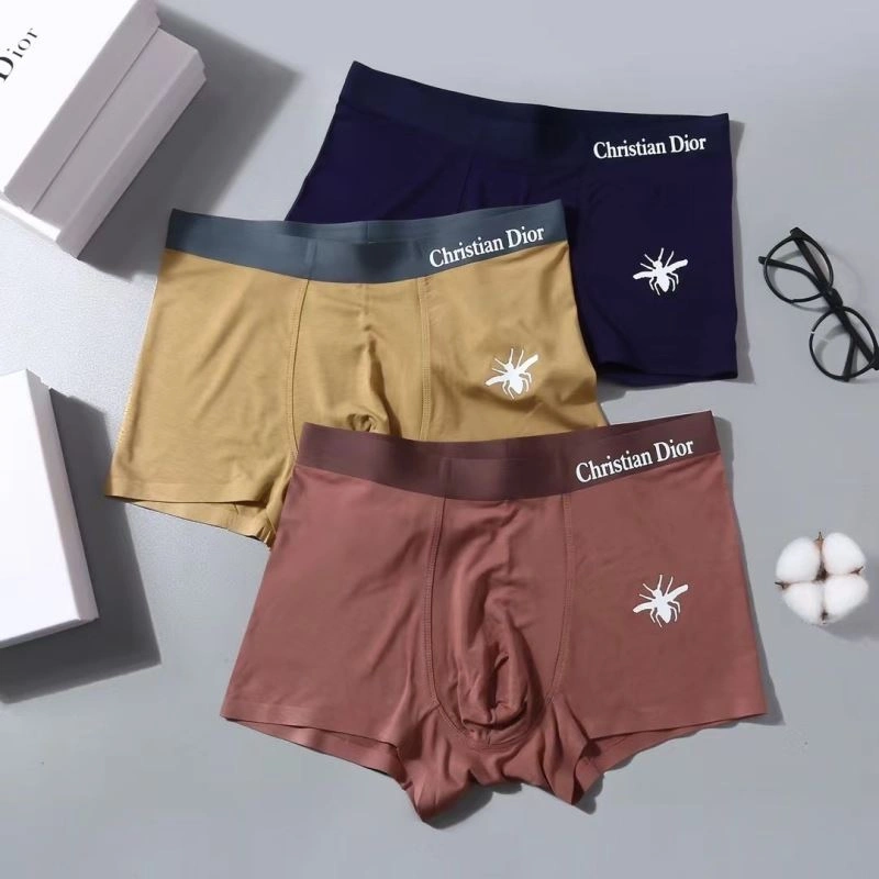 Snug Christian Dior Underwear 276830
