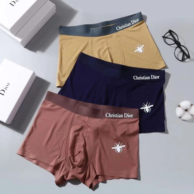Snug Christian Dior Underwear 276830