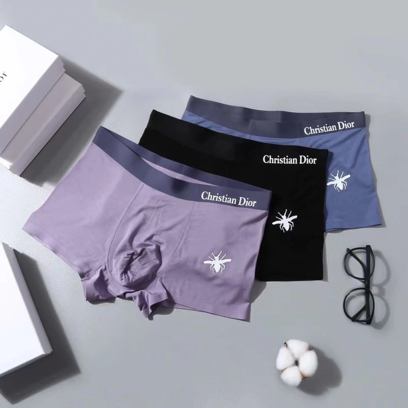 Snug Christian Dior Underwear 276830