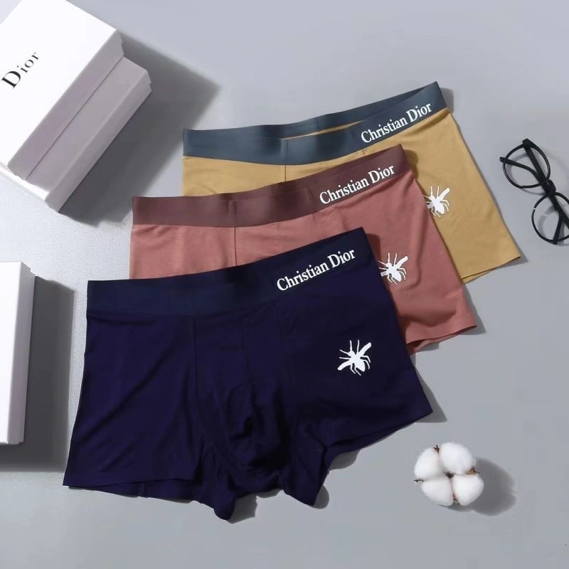 Snug Christian Dior Underwear 276830