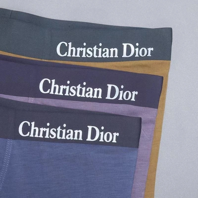 Snug Christian Dior Underwear 276830