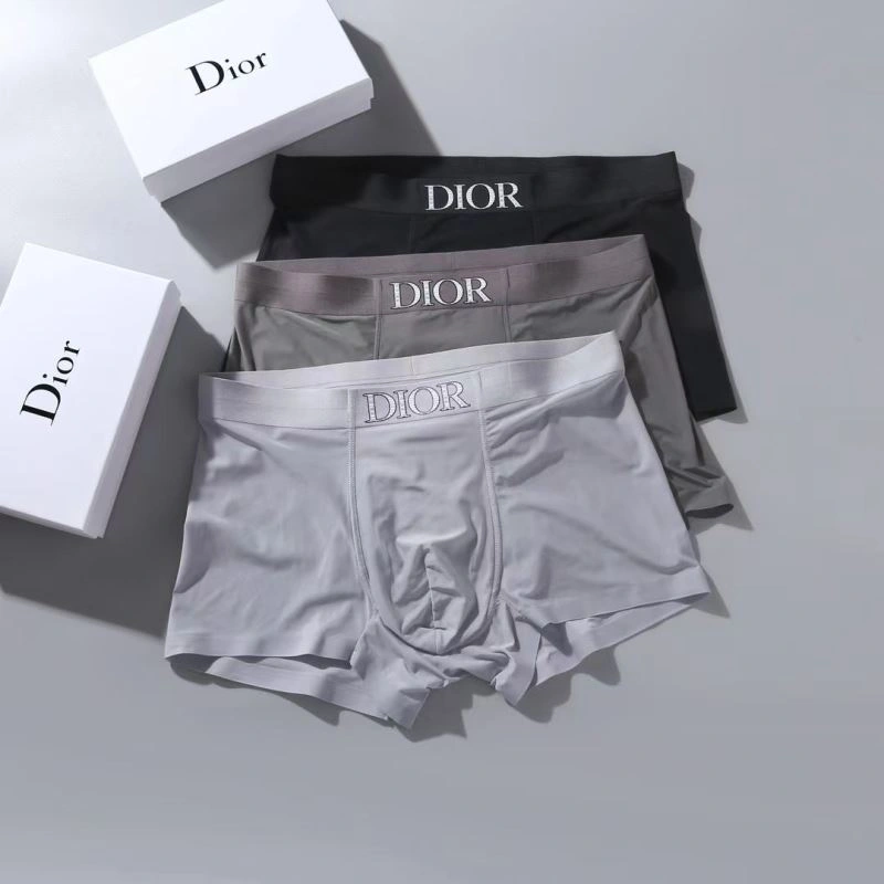 Christian Dior Underwear WrinkleFree 276824