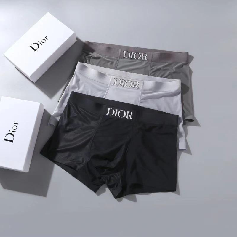 Christian Dior Underwear WrinkleFree 276824