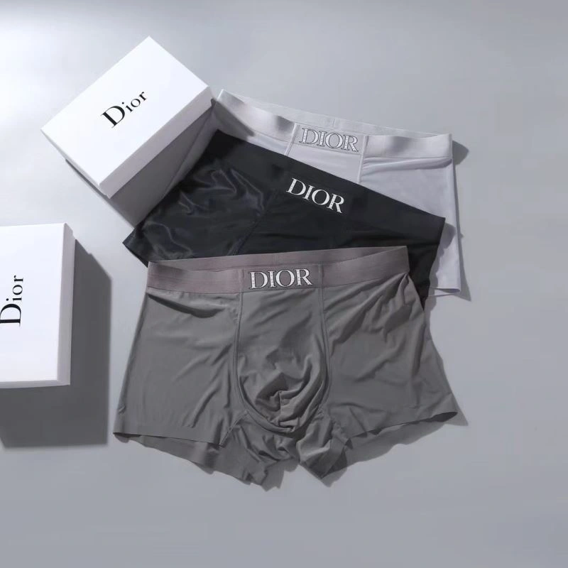 Christian Dior Underwear WrinkleFree 276824